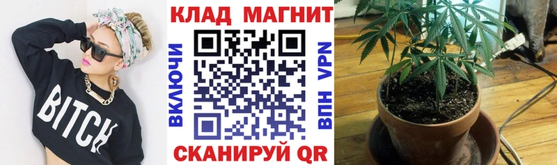 Виды наркотиков купить Ставрополь Кокаин  Мефедрон 
