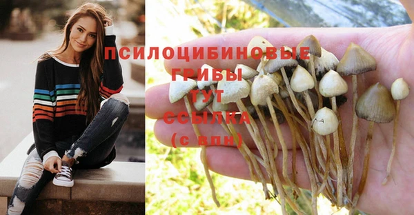 а пвп мука Вязьма