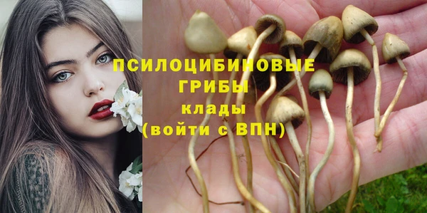 а пвп мука Вязьма