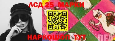 гашик Камышлов