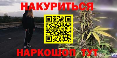 гашик Камышлов