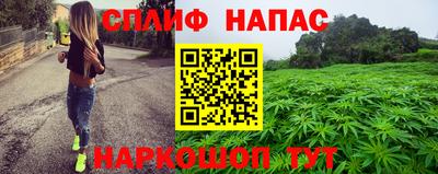 гашик Камышлов