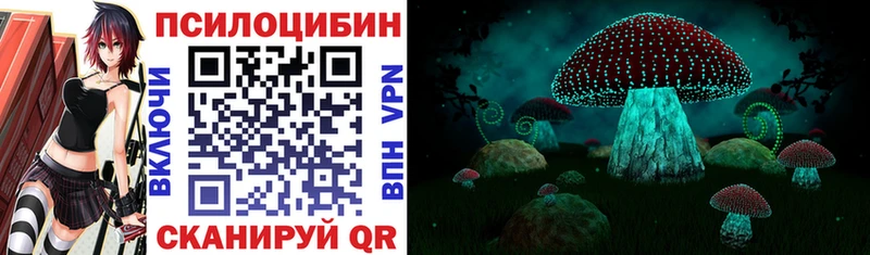darknet какой сайт  Ставрополь  Галлюциногенные грибы прущие грибы 