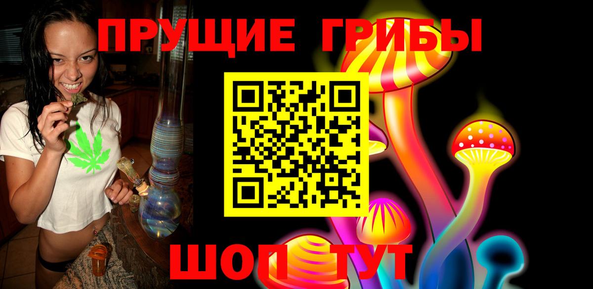 Псилоцибиновые грибы Psilocybine cubensis Ставрополь