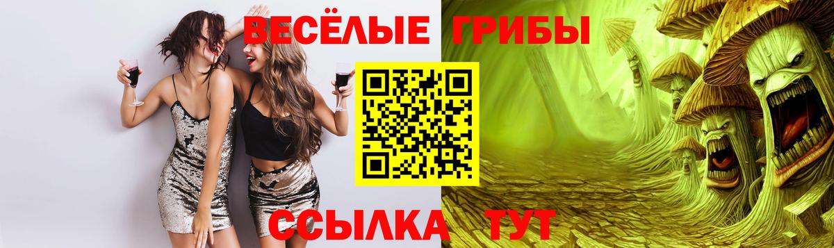 Ставрополь  купить   Вход с VPN  Галлюциногенные грибы мухоморы 